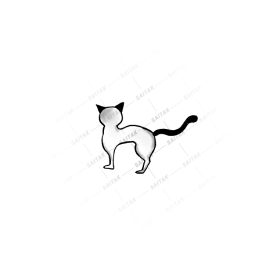 طراحی کاراکتر